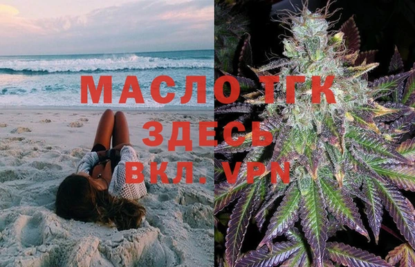 СК Зерноград