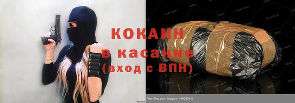 СК Зерноград