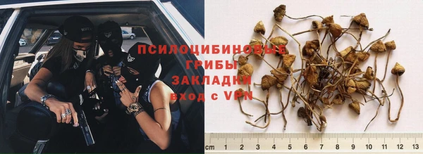 СК Зерноград