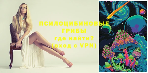 ПСИЛОЦИБИНОВЫЕ ГРИБЫ Зеленокумск