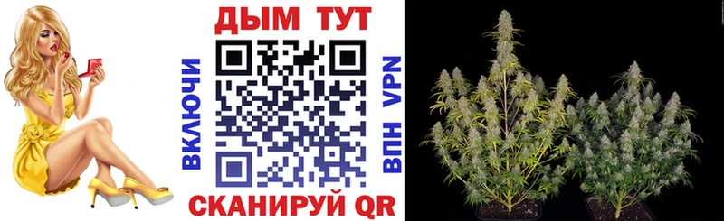 Купить  Конаково  Марихуана план 